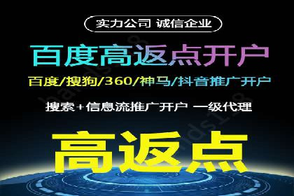 百度SEM代运营案例揭秘，如何实现ROI最大化